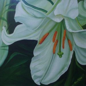 "St. Joseph Lily"