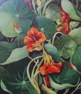 "Nasturtiums"