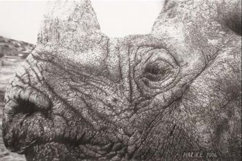 "Rocksteady"