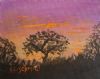 "Mini African Sunset 1"