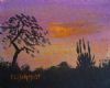 "Mini African Sunset"