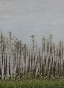 "After the fire"