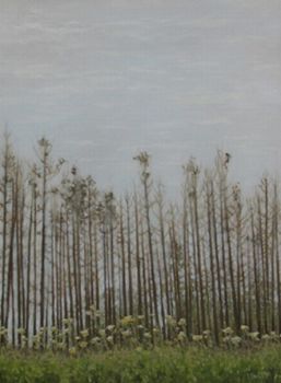 "After the fire"