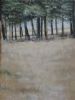 "Trees in Winter landscape"