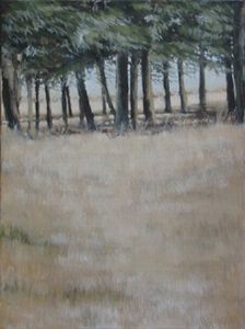 "Trees in Winter landscape"