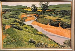 "Moorreesburg Farmstream Western Cape"