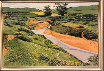 "Moorreesburg Farmstream Western Cape"