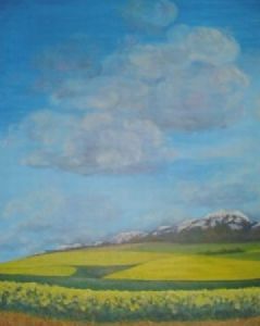 "Canola Swellendam"