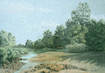 "River Scene Kruger Park"