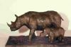 "Rhinoceros and Calf"