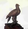 "Crown Eagle"