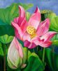 "Lotus Flowers"