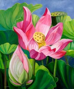 "Lotus Flowers"