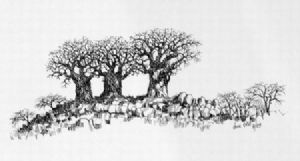 "Three Baobabs"
