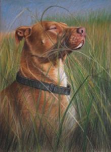 "In the reeds"
