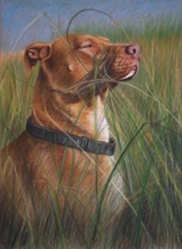 "In the reeds"