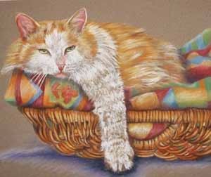 "Carlos the cat"