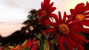 "Red Daisy"