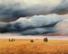 "Kalahari Landscape"