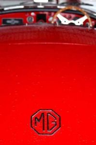 "Red Mg"