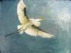 "Fly"