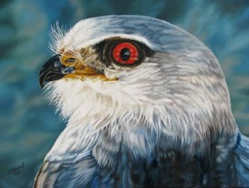 "Red Eye"