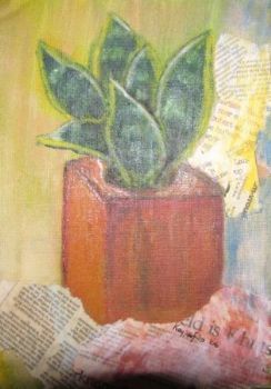 "Cactus"