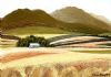 "Wheatfields 3. Caledon area"