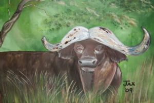 "Buffalo"
