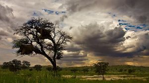 "Kalahari Moods - Helios vs Zeus"