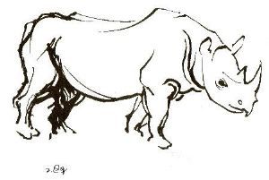 "Rhinos 3 (1 of Set of 3)"