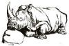 "Rhinos 1 (3 of Set of 3)"