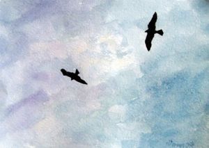 "Pariah Kites Over Delhi"