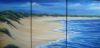 "sodwana north beach"