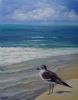 "Lone Seabird"