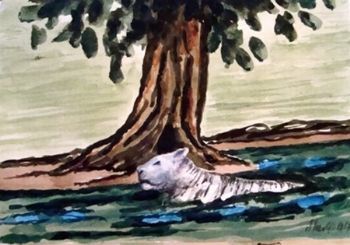 "White Tiger Escaping the Heat"