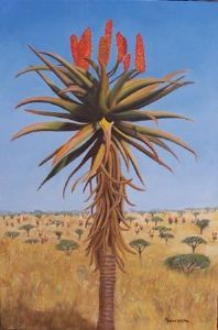 "Aloe "