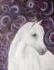 "White Pony"