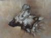 "Wild Dog Portrait"