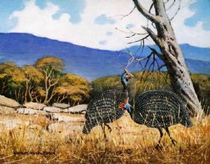 "Guinea-Fowl Enjoying a Quiet Moment"