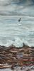 "Winter In Elands Bay"