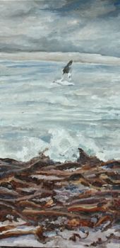 "Winter In Elands Bay"