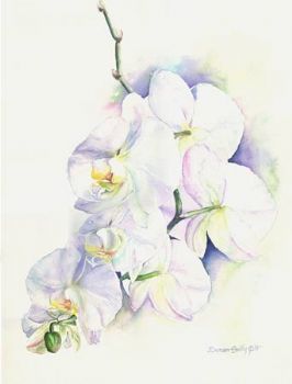 "Prchid, Phaelanopsis"