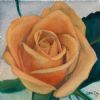 "Yellow rose"