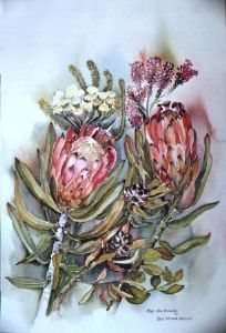 "Protea II - Deo optima Maximo"