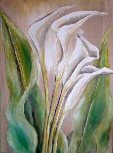 "Abstract Arums"