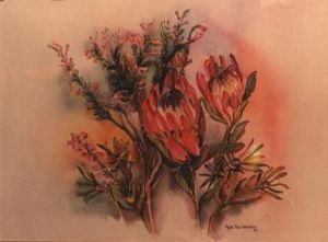 "Choice of the Cape (Proteas I)"