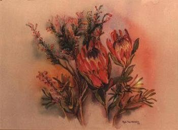 "Choice of the Cape (Proteas I)"