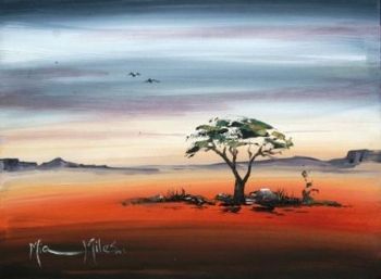 "African Thorntree"