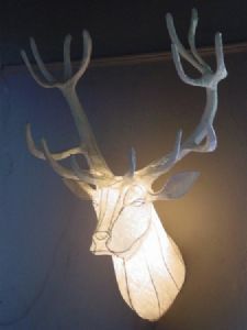 "Reindeer Stag Trophy"